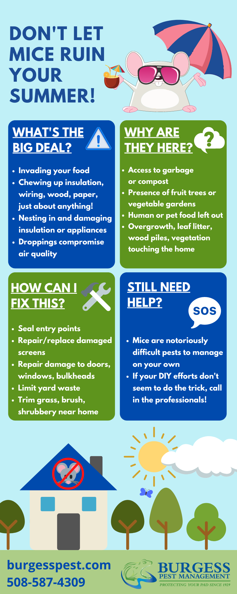 Have a Mice Summer Rodent Problems During Warm Months